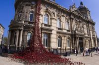 An art installation depicting poppies at Hull Maritime Museum