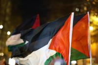 Palestinian flag waving