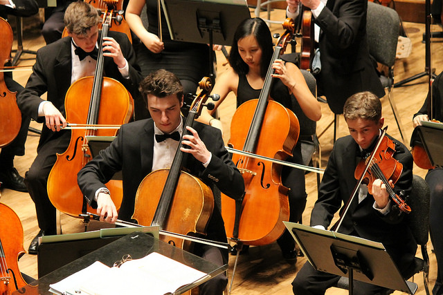 Photo of the strings section of an orchestra