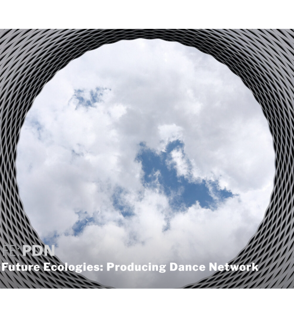 Future Ecologies: Producing Dance Network (FE:PDN) logo